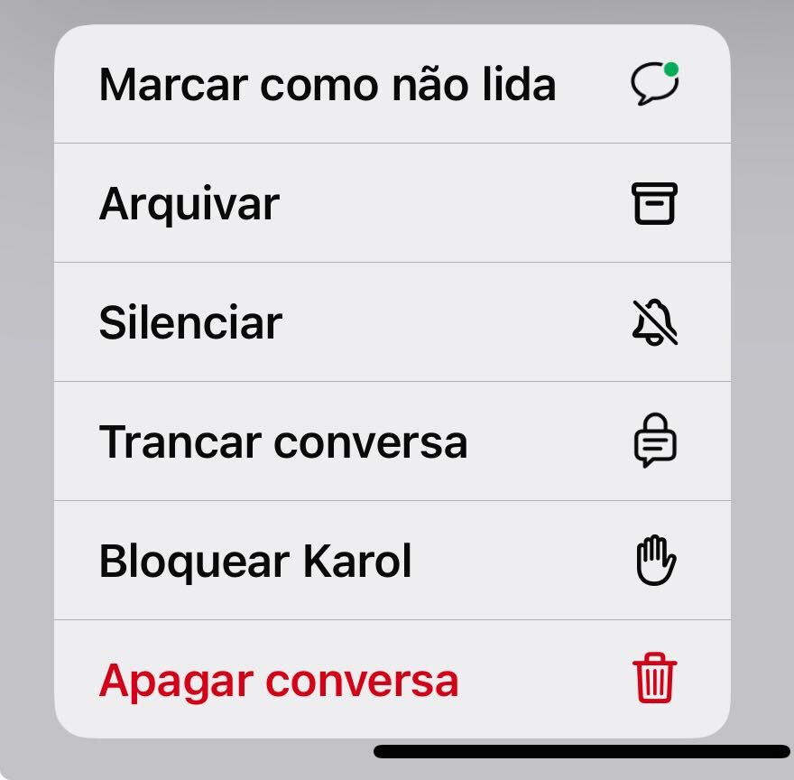 Privacidade no WhatsApp: print do painel de ferramentas que aparece dentro da plataforma quando você pressiona uma conversa: marcar como não lida, arquivar, silenciar, trancar conversa, bloquear, apagar conversa.